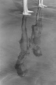 Life Is The Reflection Of That Which Is In Our Minds Be Careful What You Think What You Expect White Photography Elliott Erwitt Photo