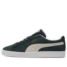Image result for Pacific Green 2002 Puma