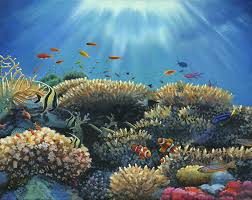 The reef is over 130,000 square miles and stretches for approximately 1,600 miles along the northweast coast of australia. Great Barrier Coral Reef Painting By Cecilia Brendel