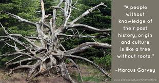 Remembering Our Roots Live Your Nature
