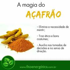 Cana De Macaco Para Infecção De Urina Pin De Creidimar Almeida Em Espiritualidade Ervas Medicinais Magia Das Ervas Ervas