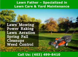Our skilled, independent pros service over 120 cities and roughly 900. These Are The Most Important Lawn Care Services Which You Must Know Proper Before Hiring A Lawn Care Company Lawn Care Companies Lawn Care Landscaping Supplies