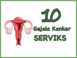 2 penyebab kanker serviks penyebab kanker serviks yaitu human papilloma virus (hpv). 10 Gejala Kanker Serviks Kanker Leher Rahim Dan Ciri Ciri Pastinya