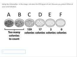 Take the amount you plated (0.5 ml) and multiply by the dilution factor (0.01) to yield 0.005. That Is All The Information That Was Provided To Us Chegg Com