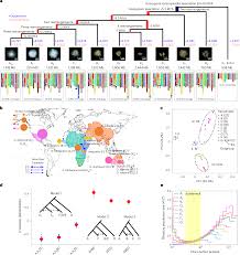 Image result for Gossypioides kirkii