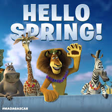 Madagascar Inicio Facebook