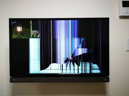 息子に2度もテレビを壊された悲しい父親がオススメする液晶テレビ保護パネル これがなければもう育児はできません テレビ 保護 アクリル パネル