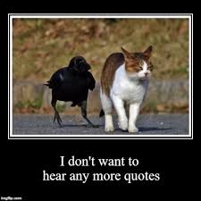 Quothing Raven Animal Memes Nevermore Raven Fun To Be One