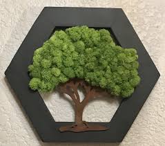 Moss Tree Of Life Honeycomb Tree Of Life Moss Wall Decor Etsy In 2021 Moss Wall Art Moss Wall Living Wall Art