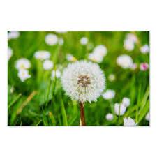 Pin On Photo Gifts