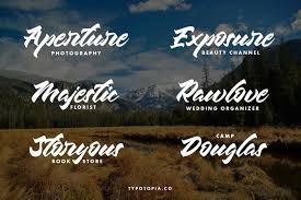 You can find a wealth of fre. Chesnut Modern Script Font Download Free Font