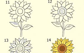 Tentunya sketsa bunga matahari ini bisa anda dapatkan secara gratis untuk dilakukan pewarnaan dalam hal pembelajaran kepada anak anda. Mudah Cara Menggambar Dan Mewarnai Bunga Matahari Dengan Dokter Andalan
