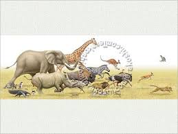 Animal Race Running Red Kangaroo African Elephant Reticulated Giraffe American Bison House Cat Giant Anteate Animals African Animals Endangered Animals