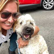 TOP 10 BEST Vets in Avoca, Co. Wicklow, Republic of Ireland