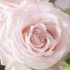 Blush Pink Spray Rose Aerobic Wedding Flowers The Flower Hub Ltd