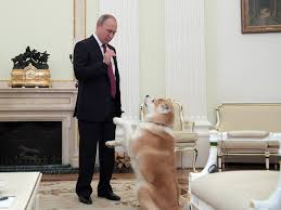 Dogs and empire russian president vladimir putin. Everything You Wanted To Know About Vladimir Putin Russia Beyond