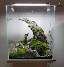 Pin On Stunning Fish Tank Designs