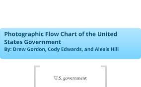 united states government flowchart by drew gordon on prezi