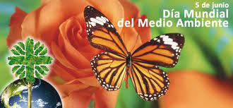 Sitio oficial relativo al día mundial del medio ambiente de las naciones unidas. 5 De Junio Dia Mundial Del Medio Ambiente