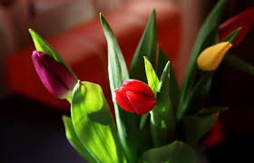 Maybe you would like to learn more about one of these? 8th Of March Is Women S Day In Russia