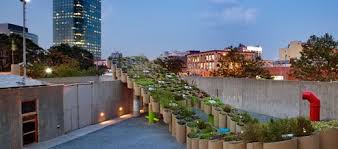 Ps1 Public Farm One Work Urban Garden Design Architecture Company Rooftop Garden