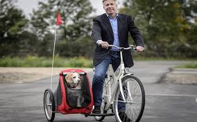 Image result for bicycle sidecar