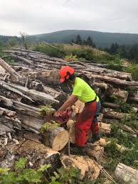 Page 1 of 397 1. Help In The Woodyard Firewood Hoarders Club