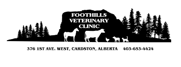 The best way to prevent behavioral issues, is to know what triggers them. Foothills Veterinary Clinic Home Facebook