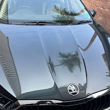 Image result for Carbon Steel 2025 Slavia