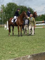 Aktuelle Informationen aus dem internationalen Turniersport