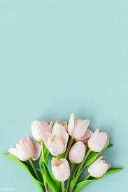 Pin By Merel On Flowers Pink Flowers Background Flower Background Wallpaper Flower Phone Wallpaper