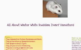 If you plan to purchase a hamster at a pet store, observe the litter first. All About Winter White Russian Dwarf Hamsters By Juliana H