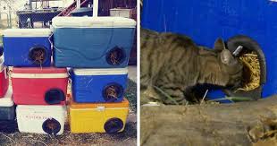 Drinking water is vital the most important way to help cats in hot weather is to always, always, always make sure. Man Makes Winter Shelters For Stray Cats Out Of Discarded Coolers Bored Panda