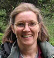 Verspätungen im Flugplan: Kraniche bieten ein besonderes Schauspiel am  Himmel