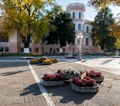 This is a page about postal code of sannicolau mare, oraş sânnicolau mare, judeţul timiş, with more professional information like latitude, longitude this is online map of the address sannicolau mare, oraş sânnicolau mare, judeţul timiş. Primaria Sannicolau Mare