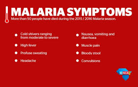 Hasil gambar untuk malaria