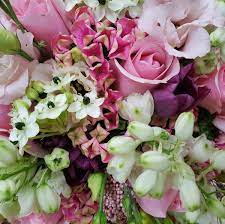 We did not find results for: Julia Flowers Photos Facebook