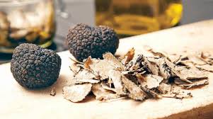 الكمأة نبات الرعد ونسيج الأرض اللين الذي لا يقدر بثمن الشرق الأوسط