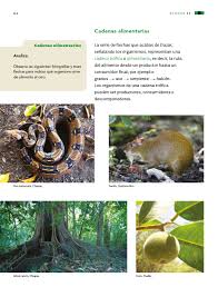 Libro de texto para el estudiante. Ciencias Naturales Cuarto Grado 2017 2018 Pagina 64 De 162 Libros De Texto Online