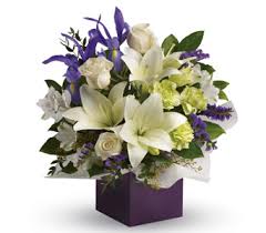 (5115), modbury (5092), modbury hospital (5092), munno para (5115), northern region cremetori(5118), northfield (5085), oakden (5086), one tree hill (5114), para. Flower Shop Smithfield Craigmore Same Day Delivery Flowers R Us