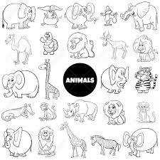 Download Black And White Cartoon Illustration Of Wild Animal Characters Large Set Coloring Book Page Royalty Free Cliparts Vectors And Stock Illustration Image 139443709