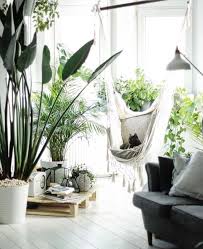 Minimalist Natural Decor Home Decor Decor Nature Decor