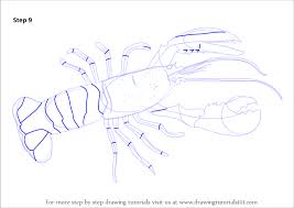 Check spelling or type a new query. Step By Step How To Draw A Lobster Drawingtutorials101 Com