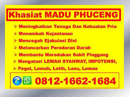 Antara khasiat yang boleh kita perolehi daripada madu lebah kelulut ini ialah: Cara Mengatasi Syahwat Khasiat Madu Kelulut Untuk Lelaki Pencegahan Impotensi Khasiat Madu Lebah Untuk Lelaki Ramuan Alami Kejant Makassar Semarang Bandung
