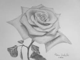De data asta am ales sa desenez un peisaj de iarna iar ca instrument de lucru; Tablouri In Creion Carbune Roxana Constantin Trandafir Desene In Creion Cu Flori Drawings Art Painting Abstract Artwork