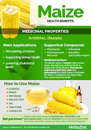 We look at healthy levels. Maize Herbazest