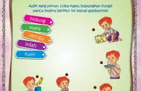 Dengan belajar mewarnai mewarnai gambar sekolah paud akan dapat membangun kreatifitas dan pola berfikir buah hati anda. Lembar Aktivitas Paud Tk Mengenal Fungsi Panca Indera Ebook Anak
