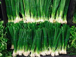 With that in mind, he recommends making sure you keep your green onions far away from other veggies and fruit. Leek Tops Scallion And Spring Onion Greens Foodprint