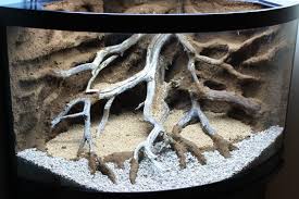54gal Bowfront Build Dendroboard Aquarium Backgrounds Reptile Room Reptile Terrarium