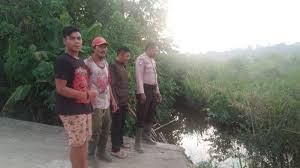 Jadi ikan badut ini hidup berkelompok, tetapi hanya ada 2 berdasarkan hasil studi, ketika tengah proses inkubasi telur, kadal atau naga berjenggot ini mengubah diri dari jantan jadi betina. Musim Tangkap Ikan Bhabinkamtibmas Ingatkan Warga Jangan Pakai Tuba Dan Strum Tribun Pontianak